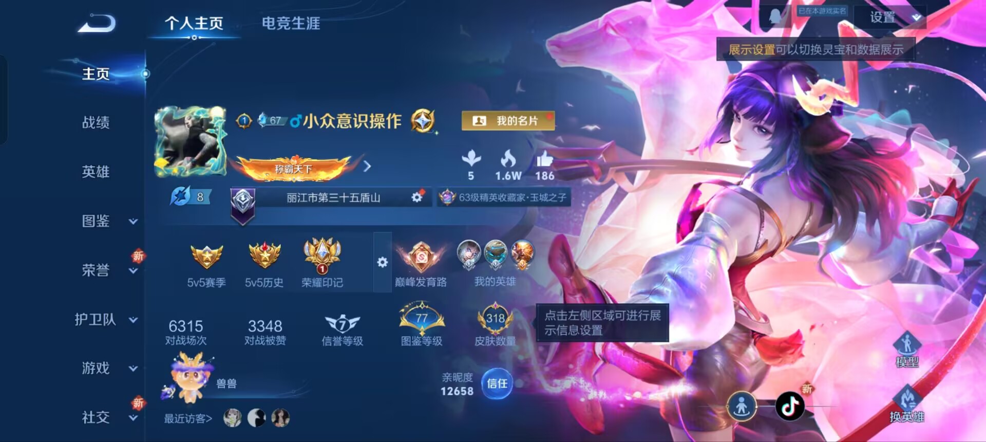 王者荣耀账号安卓QQWZ18943-318皮v9差7.5w点券v10【2典藏3无双5珍品30传说90史诗104限定至尊宝